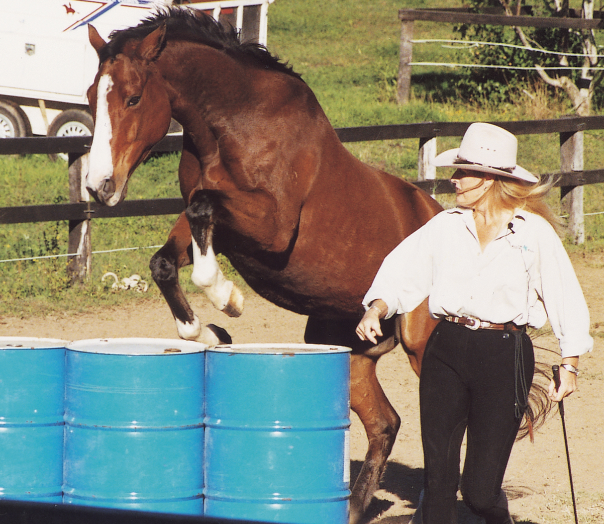 Meredith Ransley photo 5